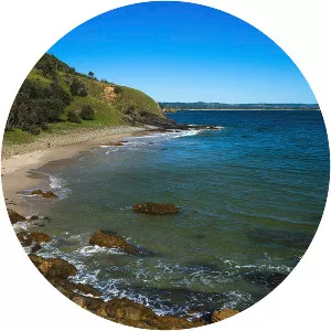 Little Wategos Beach - 