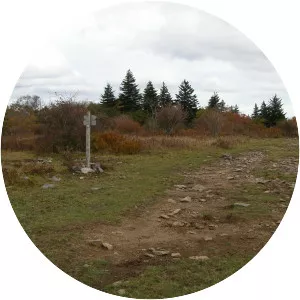 Little Wilson Creek Wilderness