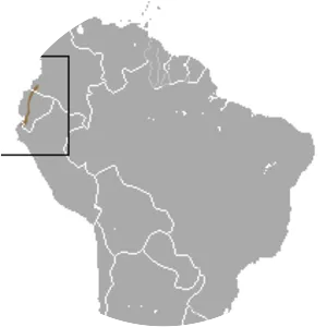 Little woolly mouse opossum - Animal