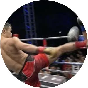 Liu Lei - Liu Ye's sister