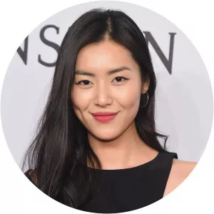 Liu Wen
