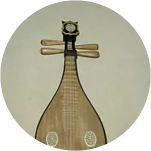 Liuqin - Musical instrument