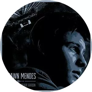 Live At Madison Square Garden - Live album by Shawn Mendes