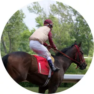 Live: Channel 4 RacingSince 2011 - TV program