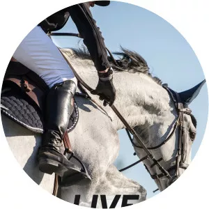 Live: FEI European Eventing Championship EquestrianismSince 2015