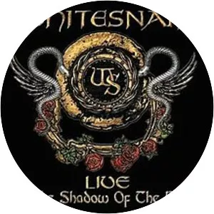 Live. . . in the Shadow of the Blues