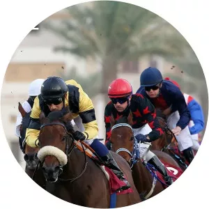 Live: International Racing - TV program