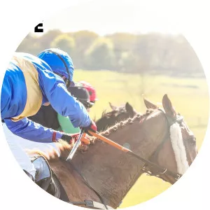 Live: Irish Racing - TV program