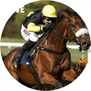 Live: Melbourne Cup Horse Racing