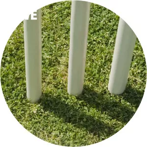 Live: One- Day Cup Cricket - TV program