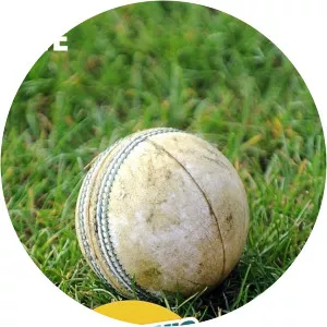 Live: Women's International T20 Cricket - TV program