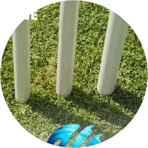 Live: Women's One-Day International CricketSince 2015