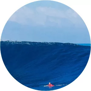 World Surf League