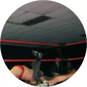 Live: WWE Wrestling - TV program