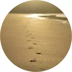 Living For The Weekend! 50 Anthems - TV program