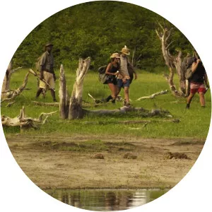 Living StoneSince 2017