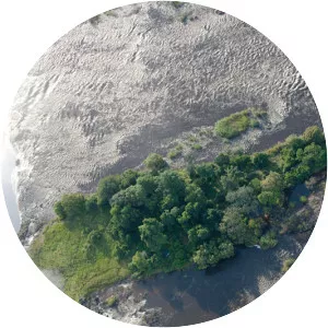 Livingstone Island - 