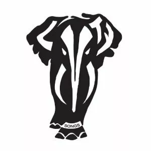 Livity Songs - Musical artist