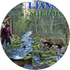 Ljanselva photograph