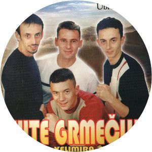 Ljute Grmeclije - Musical artist