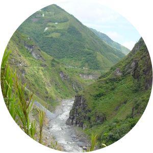 Llanganates National Park