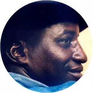 Lobi Traoré - Malian musician