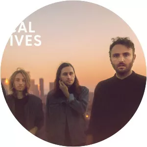 Local Natives - Rock band