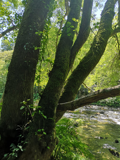 Local Social Ombre photograph