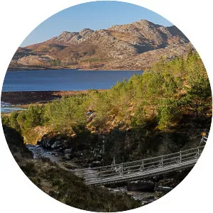 Loch Bad an Sgalaig - 