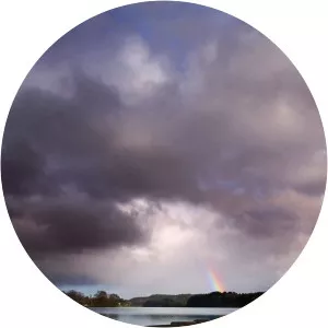 Loch Lomond: A Year in the Wild