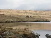 Loch Teàrnait