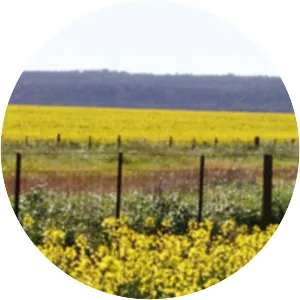 Lockhart Shire Council