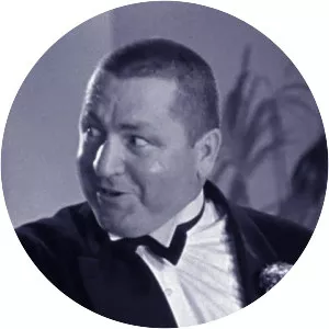 The Three Stooges Loco Boy Makes Good