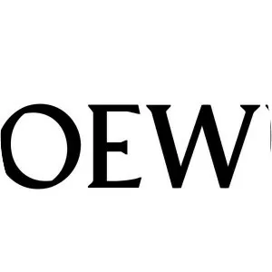 Loewe - Fashion company