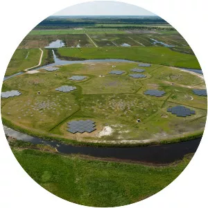 LOFAR - 