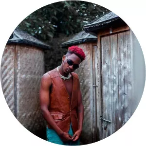 Logan Joe - Musical artist