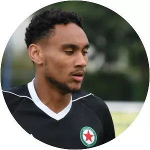 Loïc Lapoussin - Footballer