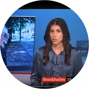 Lokala Nyheter StockholmSince 1985 - TV program