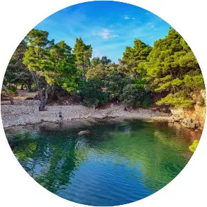 Lokrum - Island in the Adriatic Sea
