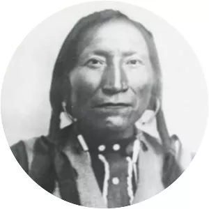 Lone Wolf v. Hitchcock