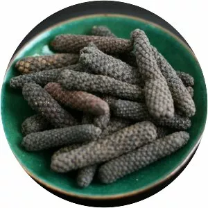Long pepper