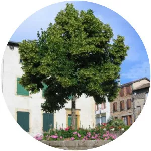 Longessaigne - Commune in France