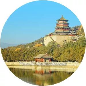 Longevity Hill - 