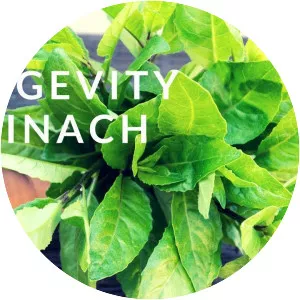Longevity spinach - Plants