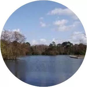 Longmoor Lake - Lake in England