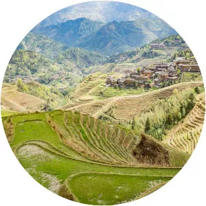 Longsheng Rice Terrace - 