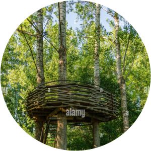 Lookout Nest Malinovo - 