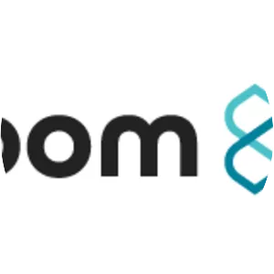 Loom Network Inc