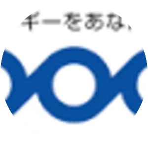 Looop Inc. - Company