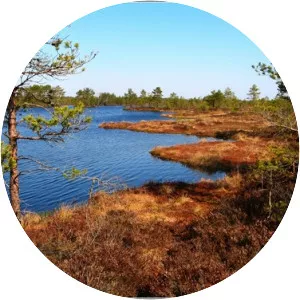 Loosalu Jarv - Lake in Estonia